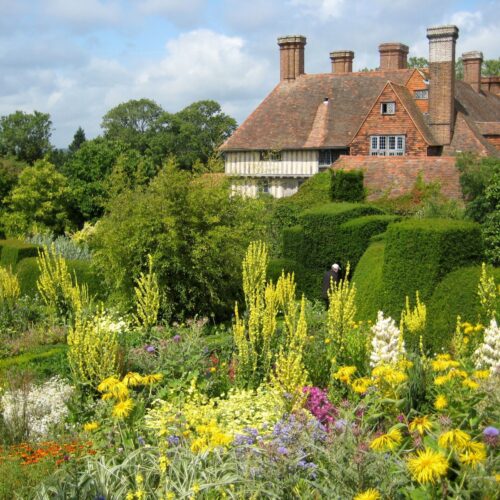 dixter 3