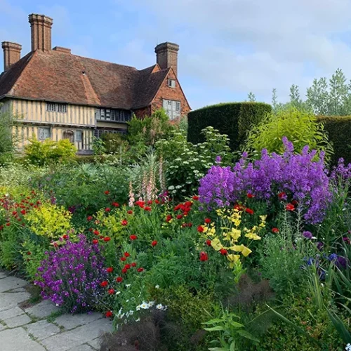 dixter 5
