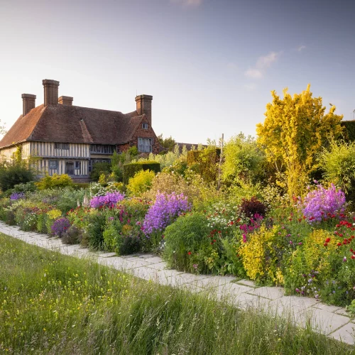 dixter 6